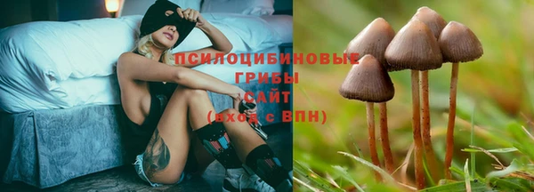 ешки Богородск