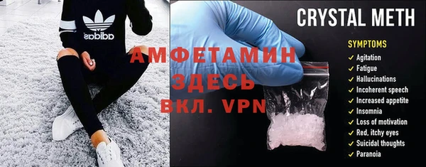 сатива Белокуриха