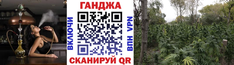 Конопля планчик Моршанск